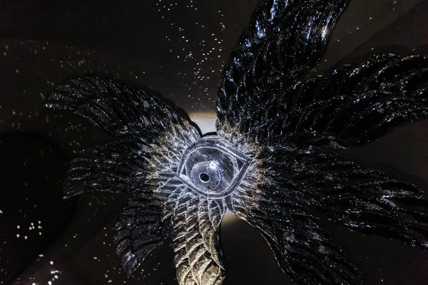 История всего: от сотворения до апокалипсиса