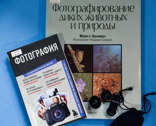 Интерактивная лекция «Искусство видеть»