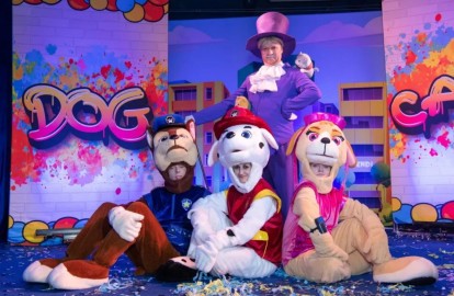 Щенки спасатели: Город героев