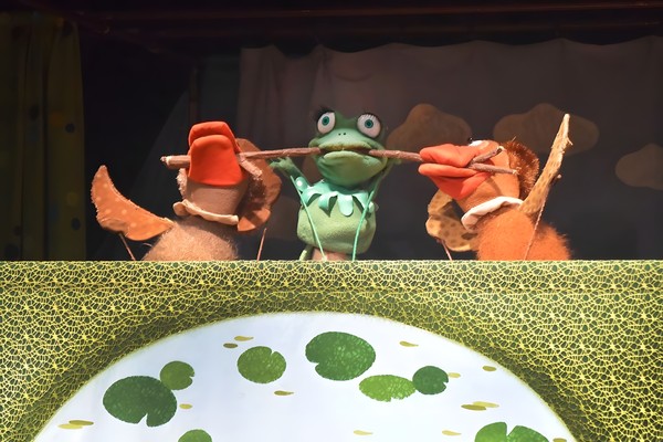 Лягушка-путешественница