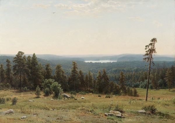 В царстве русского леса. Творчество Шишкина