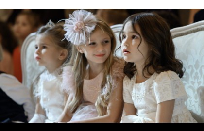 Чудесное путешествие Нильса с дикими гусями