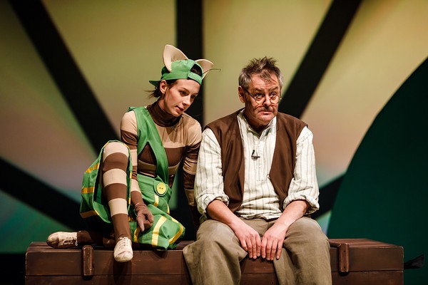 Петсон и Финдус