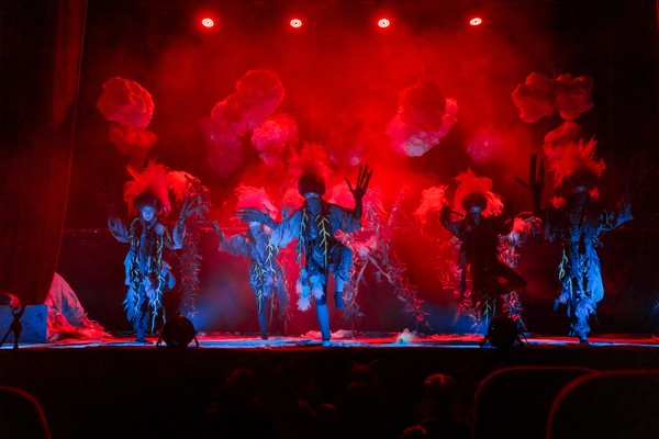 Вперед, Котенок!