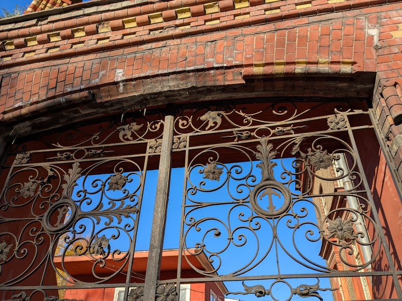 Юлия Свенцицкая