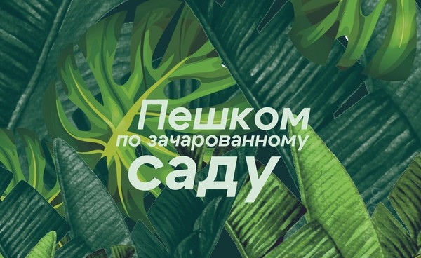 Режиссёр как садовник