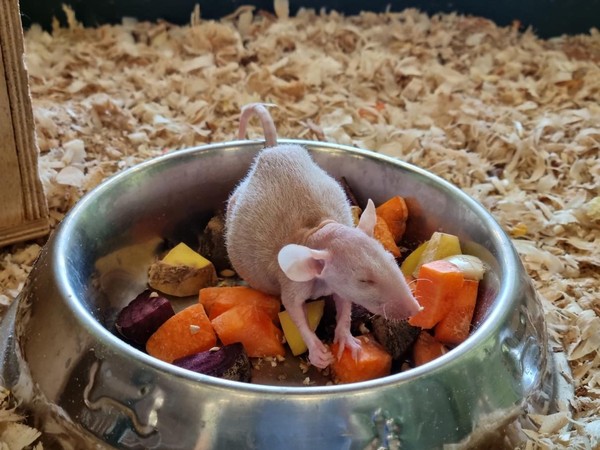 Беседа со специалистом