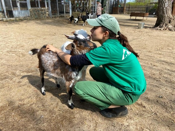 Экспозиция детского контактного зоопарка