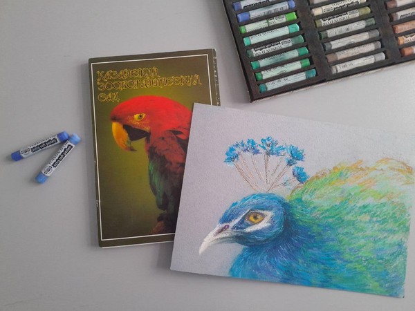 Мастер-класс «Павлин. Казанский Зооботсад»