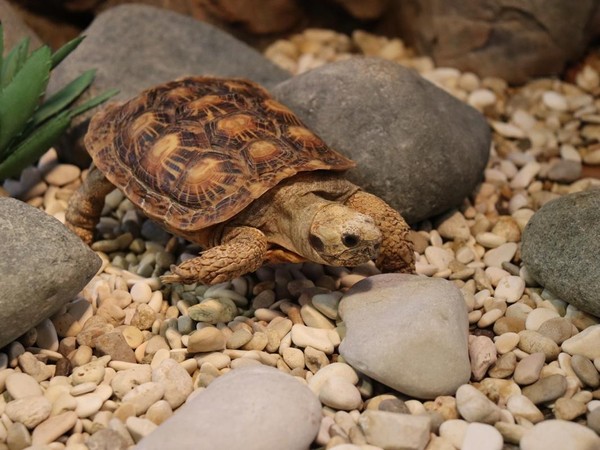 Беседа с методистом