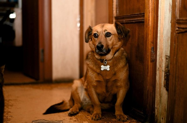 Тематическое мероприятие «Парад планет»