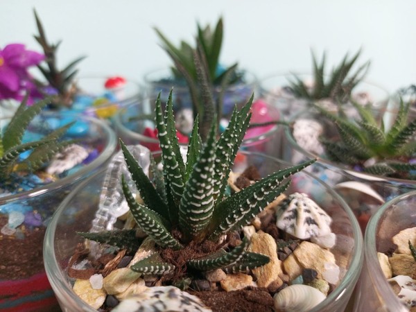 Романтическое свидание. Создание флорариума с песочной церемонией