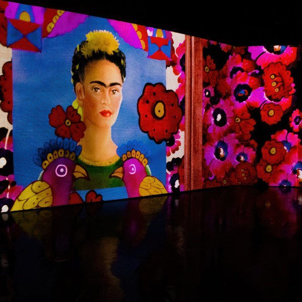 Загадочные миры Иеронима Босха / Фрида Кало. Несломленная