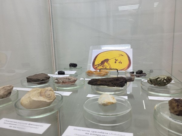 Выставка «Природные капсулы времени»