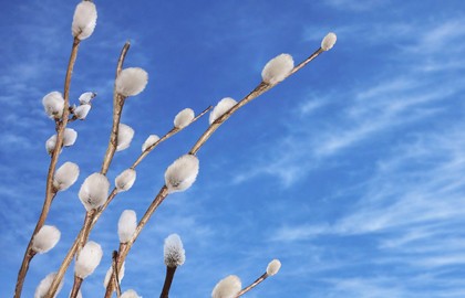 Пасхальный концерт