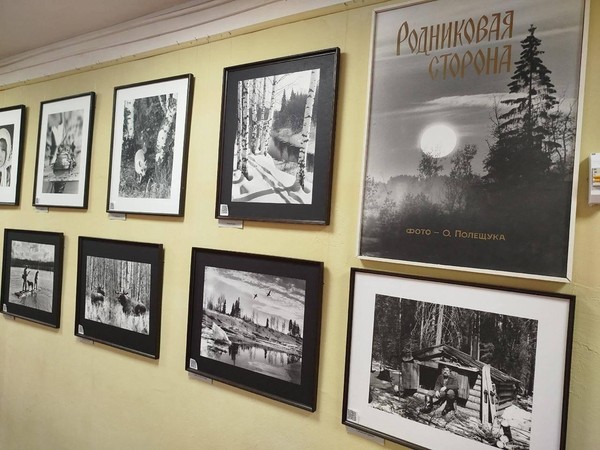 Программа «Родниковая сторона»