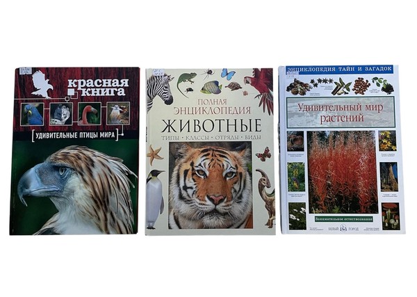 Эколого-просветительский час «Природа – наш дом»