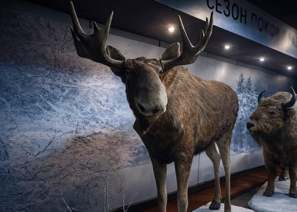 Интерактивно-образовательная программа «Лаборатория зоолога: фауна Воронежского края»