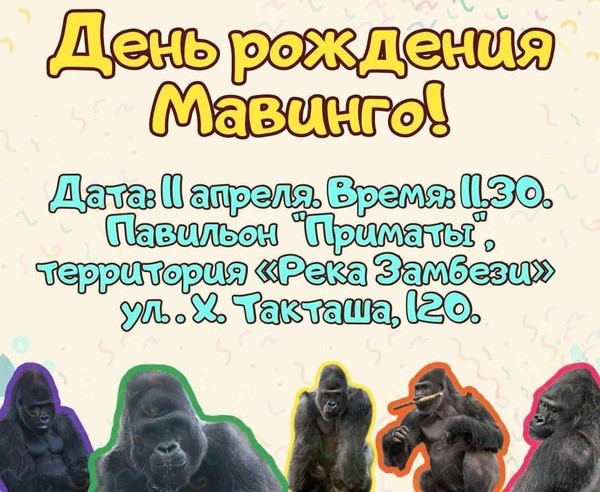 День рождения гориллы Мавинго