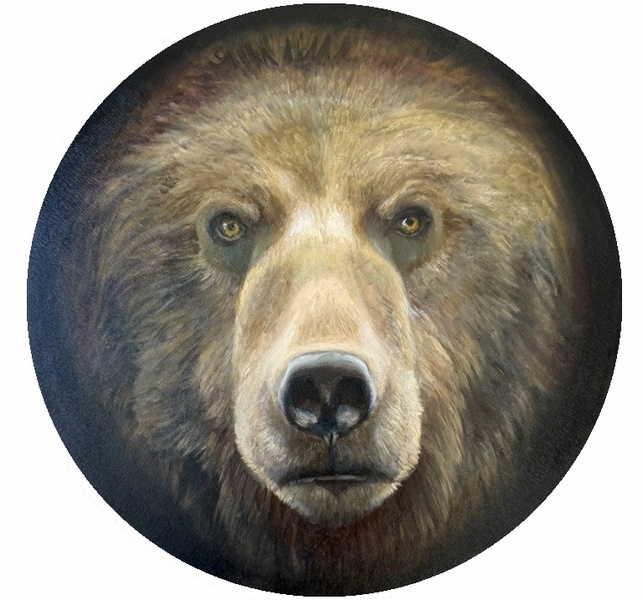 Тайга — закон, медведь — хозяин