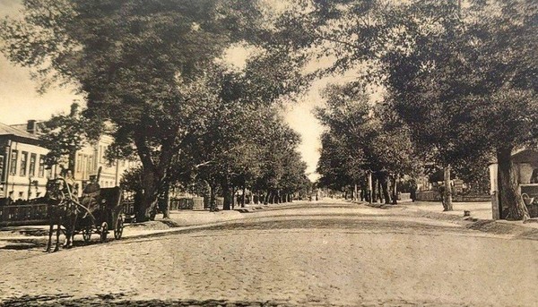 Пешеходная экскурсия «Прогулка по никитинскому Воронежу»