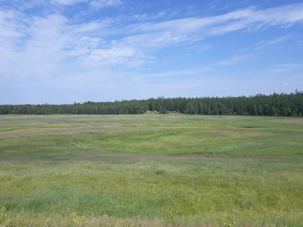 Концерт «Благословенное место земли – Сырдах»