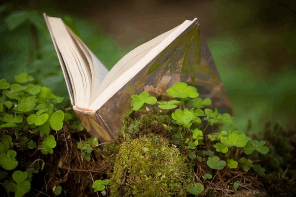 Экологическая игра «Вершки-корешки»