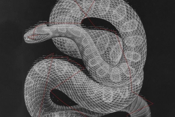 Выставка «Самый непрочитанный поэт»