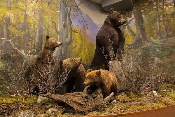 Музейное занятие «Шаг на встречу»