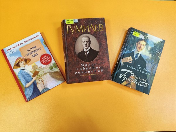 Литературный урок «Рыцарь мечты»