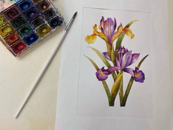 Музейное занятие «Ботанические зарисовки. Ирис»