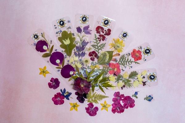 Мастер-класс «Путь цветочного самурая»