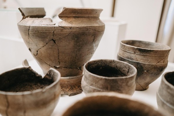 Экскурсия по выставке «Аркаим: бронзовый век степи»