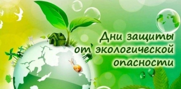 Экологическое ассорти «Умная шляпа»