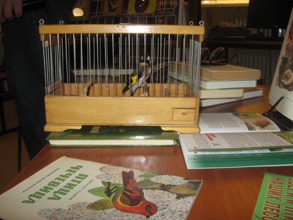 Экологическая эстафета «Птиц весенний перезвон»