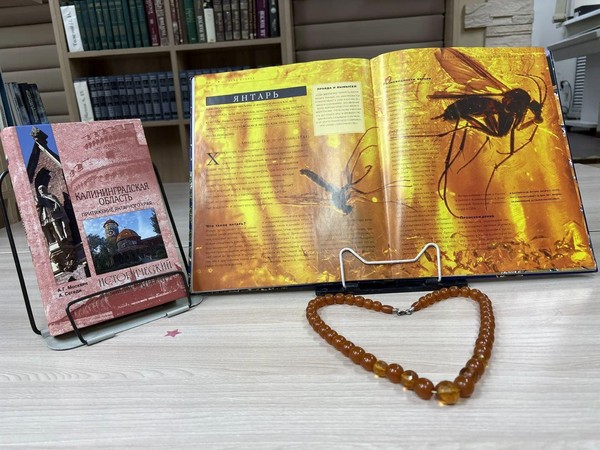 Заочная экскурсия «Калининград – янтарная столица мира»