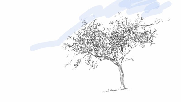 Выставка «Четверть века. Начало пути»