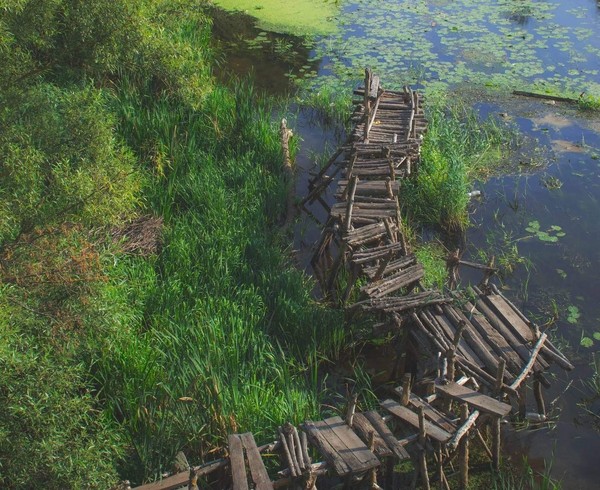 Групповая терапевтическая выставка «Возрождение жизни»