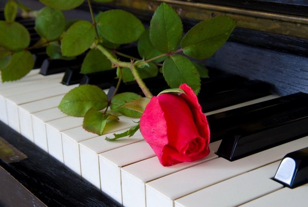 Концерт класса И. И. Бикуловой