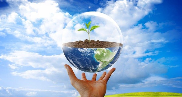 День информации «Экология для любознательных»