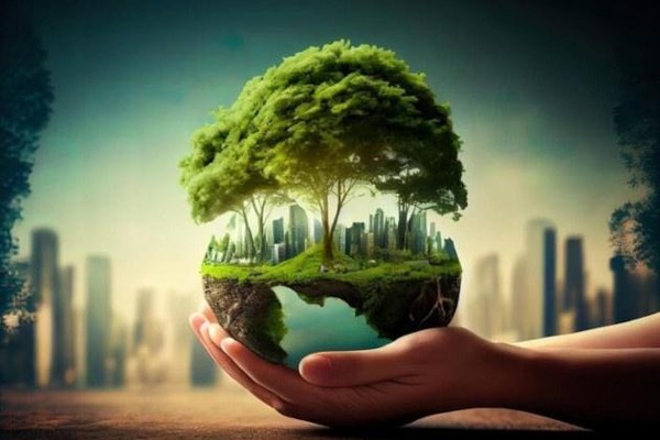 Час экологической грамотности «Природа.Экология.Человек.»