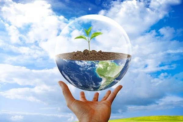 Час информации «Мы друзья природы»