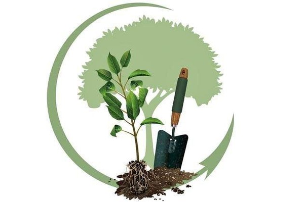 Час экологии «С любовью к природе»