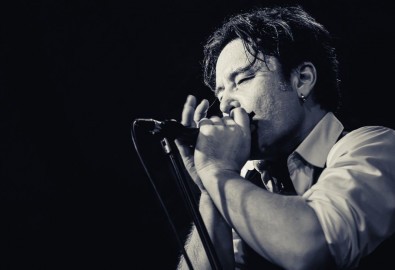 Группа «Stone shades». Rolling stone party