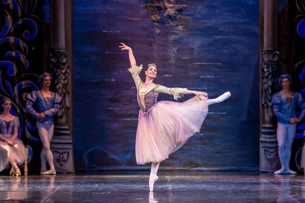 Лебединое озеро