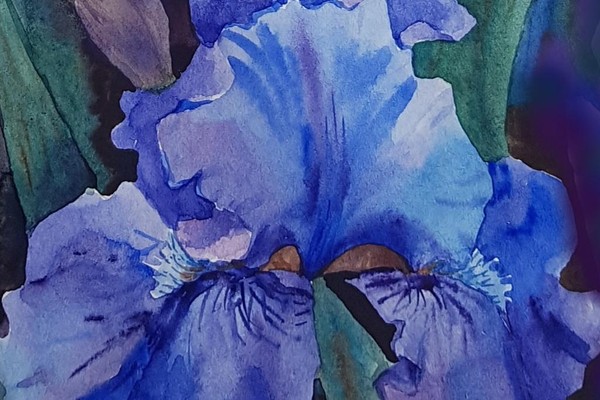 Мастер-класс «Ночная серенада. Ирис»