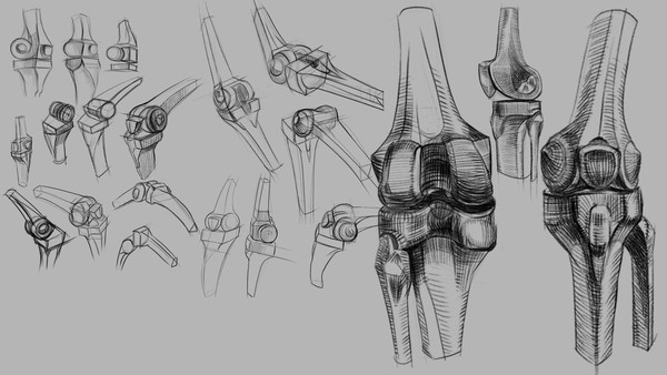 Мастер-класс «Основы пластической анатомии колена и ног»