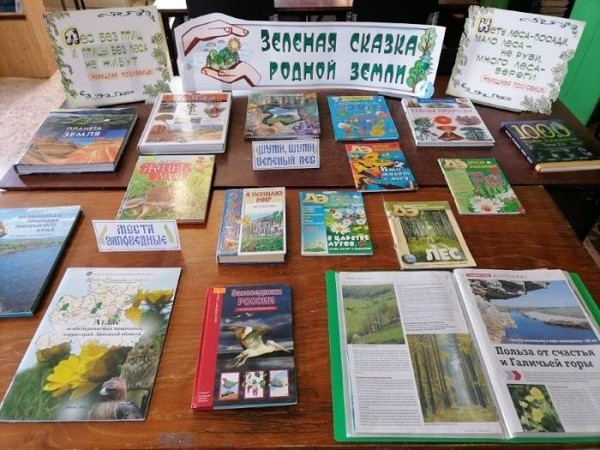 Беседа «О Дне экологических знаний»