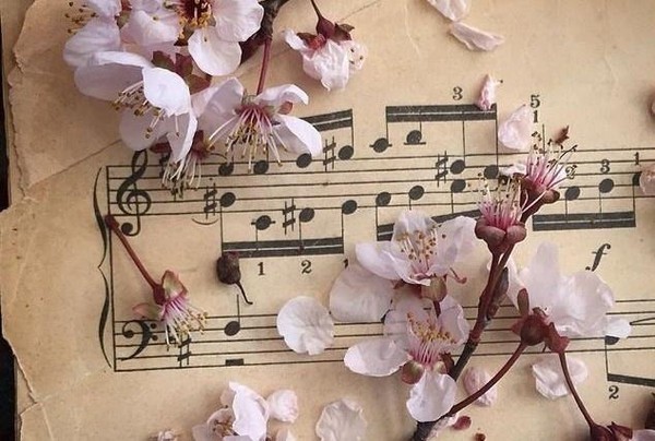 Интерактивная образовательная программа «Лаборатория музыканта: оркестр импровизации»