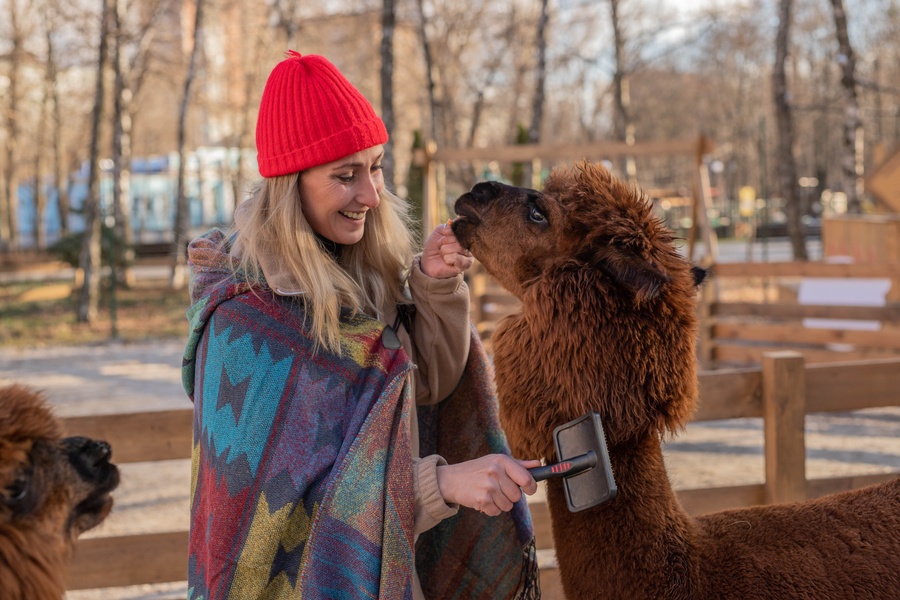 Бьюти-утро с альпаками